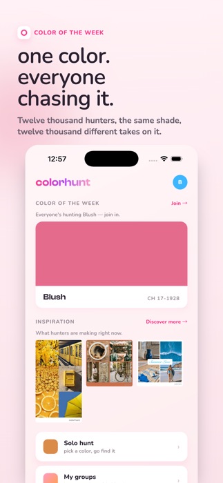 Color Hunt — Color of the Week, a new shared color for everyone